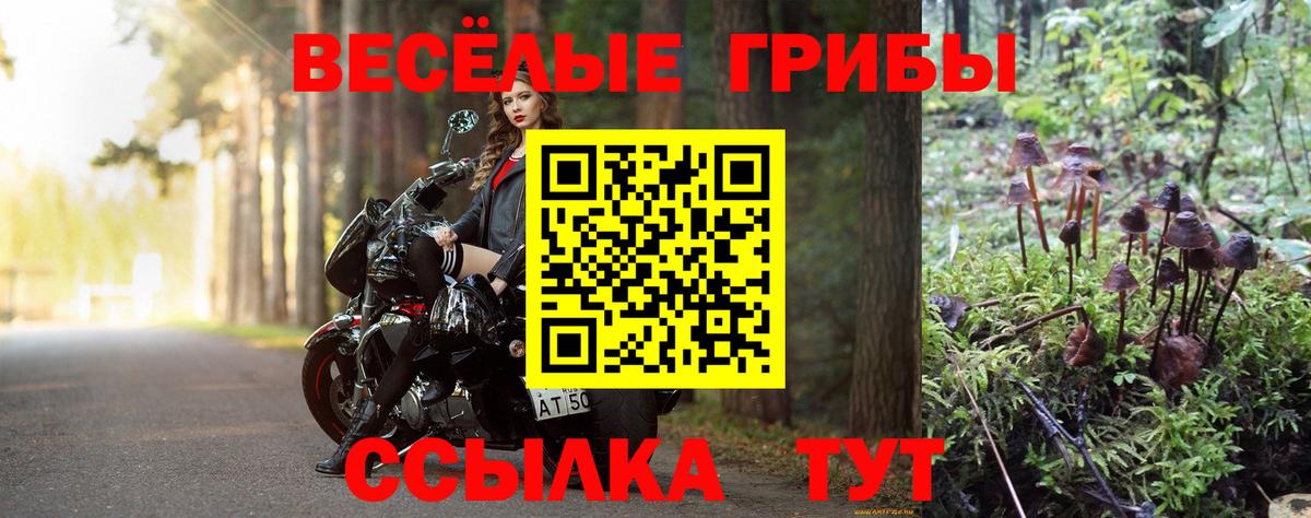 Куйбышев  Галлюциногенные грибы MAGIC MUSHROOMS  Псилоцибиновые грибы Psilocybe  Вход с VPN 